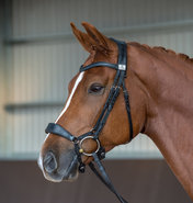 Fairfax Trens hoofdstellen