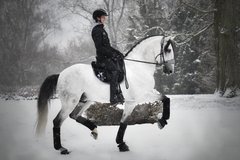 Non-leather hoofdstellen