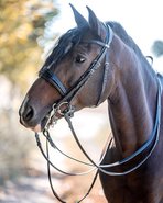 Stübben Stang & Trens hoofdstellen