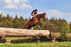 Spring & Eventing hoofdstel