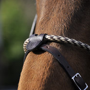 Jumping & Eventing neusriemen