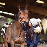 Jumping & Eventing Teugels