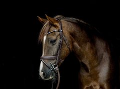 NIEUWE Bling Swing Magic Tack