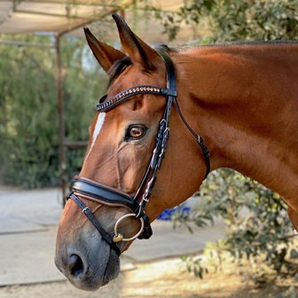 Macho Black Snaffle Black leather/Mocca padding