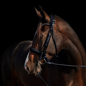 Silver Clincher Browband Utzon