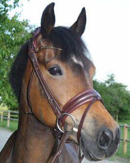 Finesse Cassidy Snaffle Brown/Gold