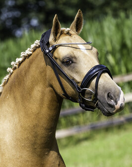 Finesse Cayenne Snaffle Black/Silver Flat finish