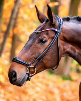 Finesse Spirit Drop Snaffle Black/Silver