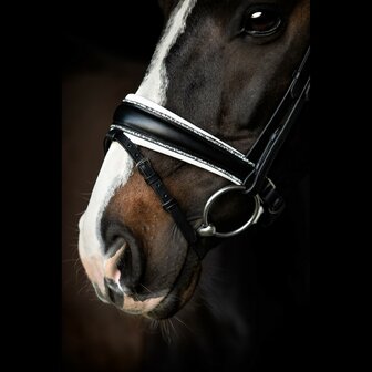 LAST CHANCE Crystal Rocks Noseband Black/White SD Design