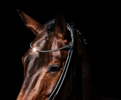 OLD MODEL Finesse small crystals browband