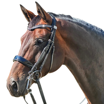 Fairfax Patent Weymouth bridle 