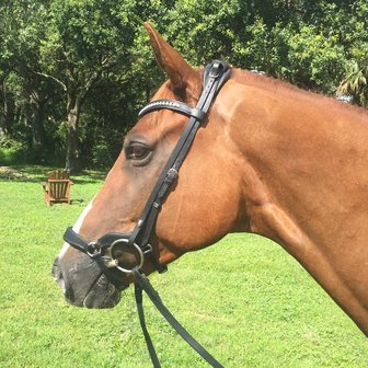 STOCK SALE  TCS Tota Comfort Drop Noseband - Lage Neusriem