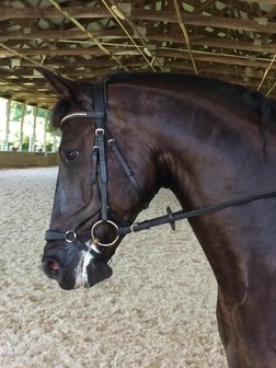 STOCK SALE  TCS Tota Comfort Drop Noseband - Lage Neusriem