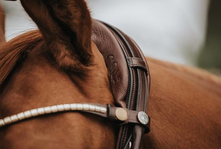 Finesse Silver Metal browband