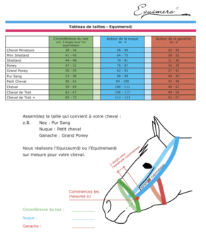 Equibridle B&amp;R Trens Zwart