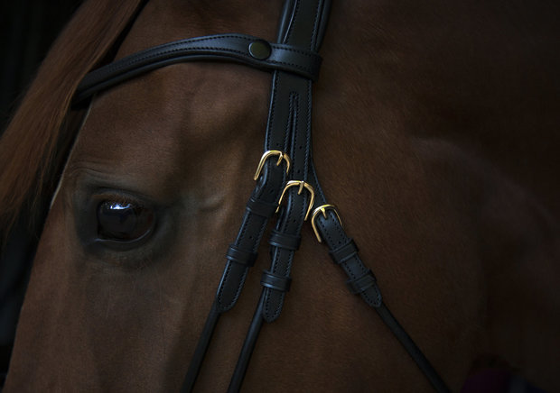 Copenhagen GOLD Utzon snaffle bridle