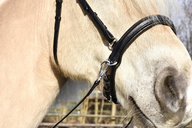 palm munt worm bit loos neusriem NF 1 - Bridle & Ride