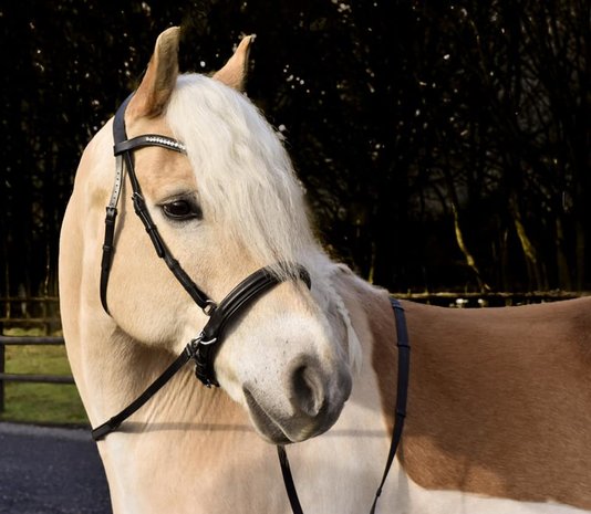 palm munt worm bit loos neusriem NF 1 - Bridle & Ride