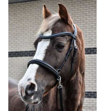 Bitloos Neusriem model NF2 MET bakstukken B2F