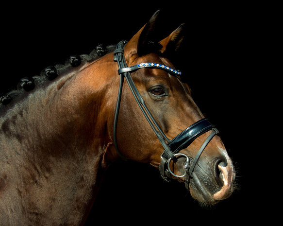 Wide Browband Star Blue & AB White 