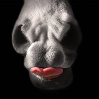 Humble, proud and greatful