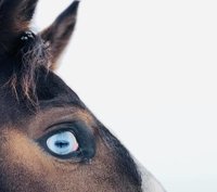 Ever thought how 'Habits' work?