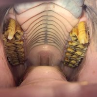 The only BIG BUT we accept has 2 T's