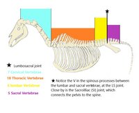 We're not sitting still ! 