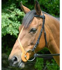 Cheekers, australian noseband or not?