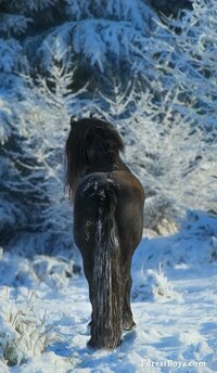 When Winter comes... again ! 