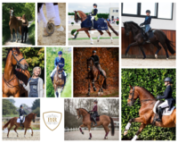 Advent Calendar Countdown ! 