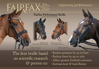 Fairfax Performance Bridle : Waarmee het begonnen is ... deel 1