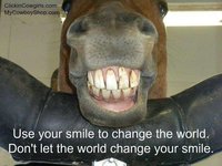 Knarstanden : Waar komt het vandaan, en hoe los je het op ? 