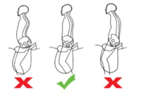 HOE DE BESTE RUITER IN JEZELF NAAR BOVEN BRENGEN: HOE DE BESTE RUITER IN JEZELF NAAR BOVEN BRENGEN: