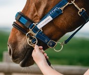LK opzetstuk - Halster Control Stübben 