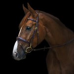 Belmond Utzon trens hoofdstel