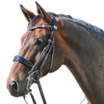 Fairfax Patent Weymouth bridle 